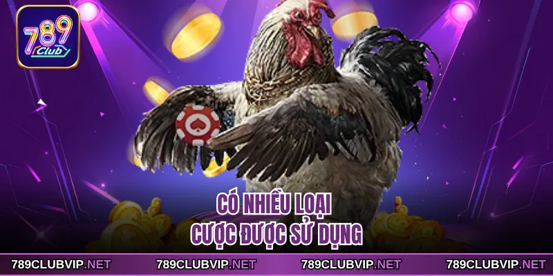 Có nhiều loại cược được sử dụng