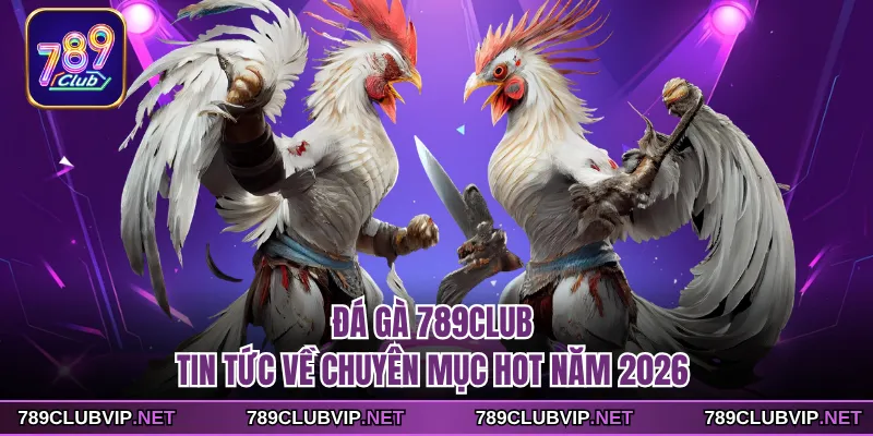 Đá Gà 789CLUB - Tin Tức Về Chuyên Mục Hot Năm 2026