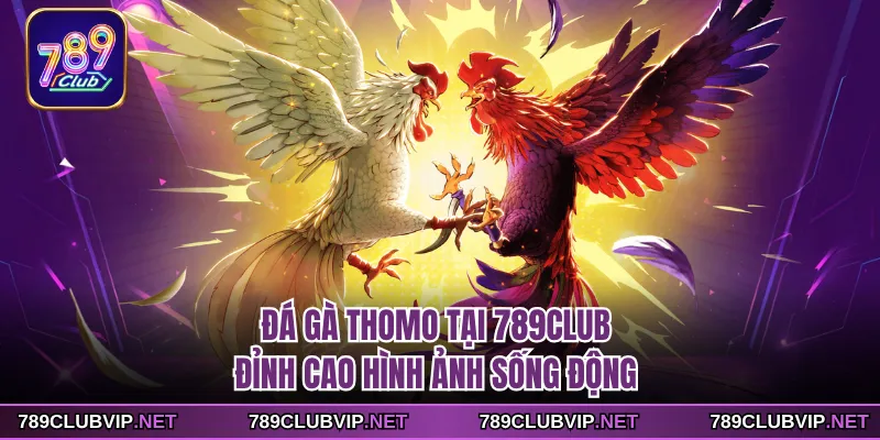 Đá Gà Thomo Tại 789CLUB - Đỉnh Cao Hình Ảnh Sống Động
