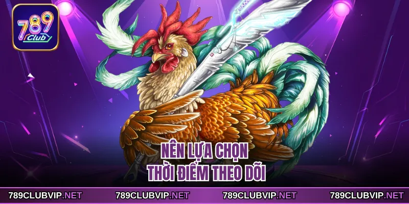 Nên lựa chọn thời điểm theo dõi