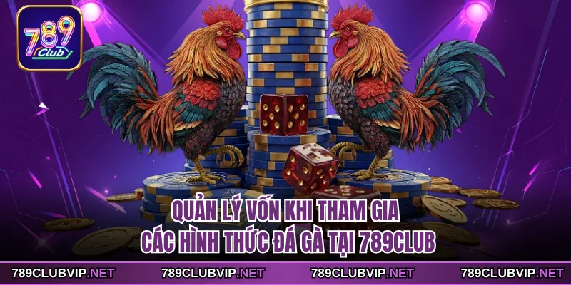 Quản lý vốn khi tham gia các hình thức đá gà tại 789CLUB