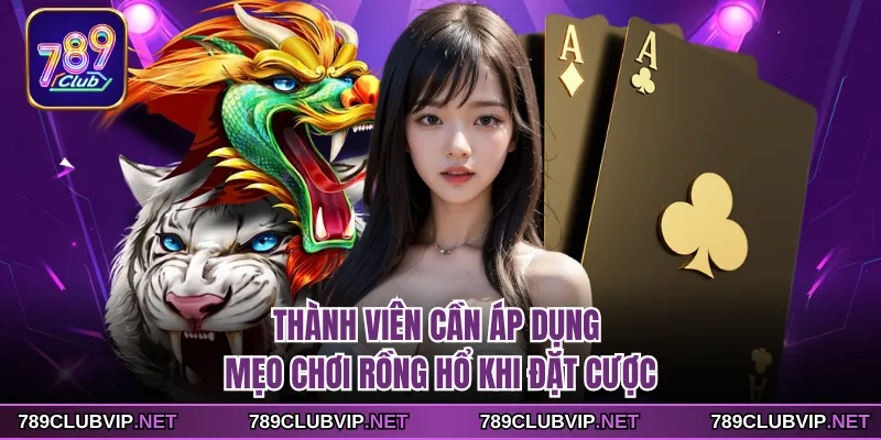 Thành viên cần áp dụng mẹo chơi Rồng Hổ khi đặt cược